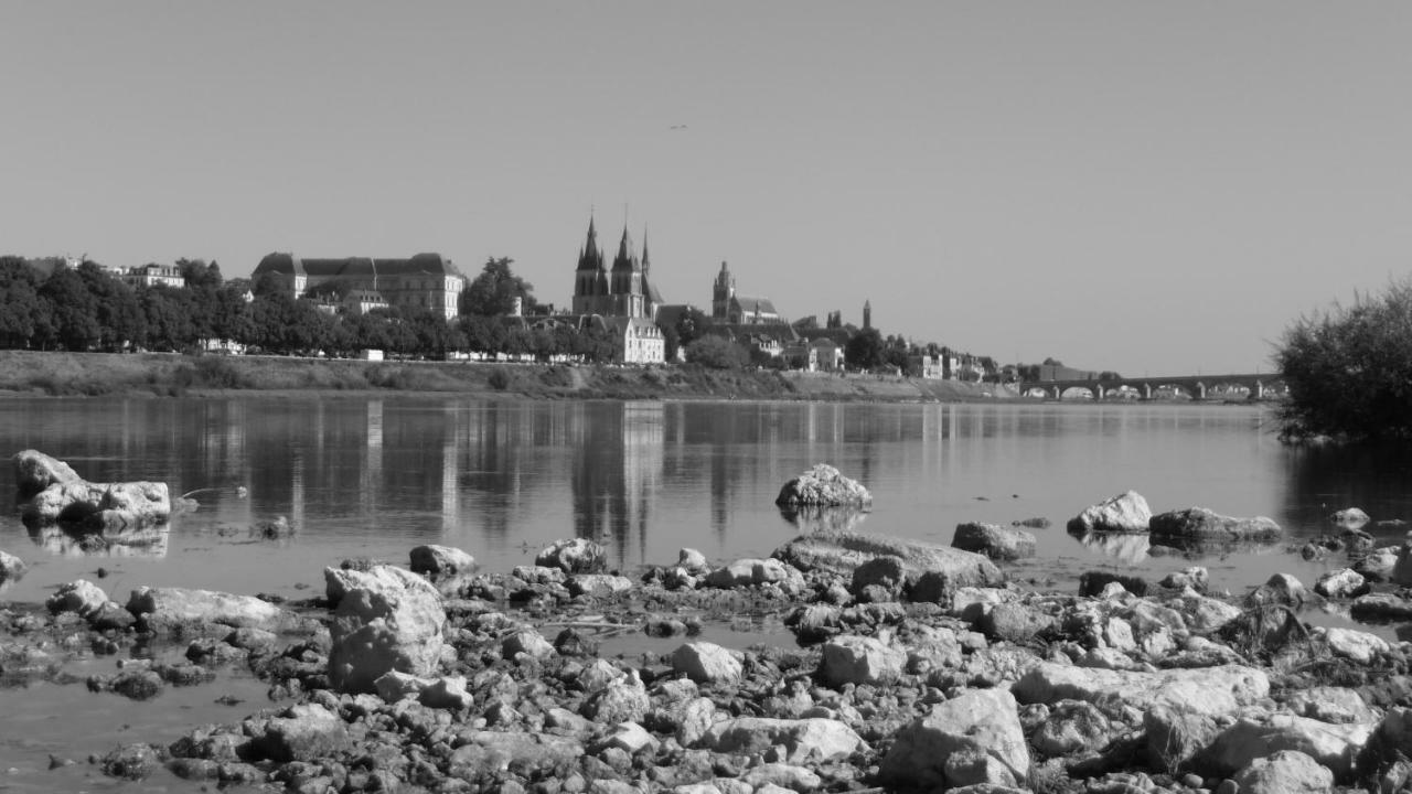 Les Ateliers Du Roi Apartament Blois Zewnętrze zdjęcie