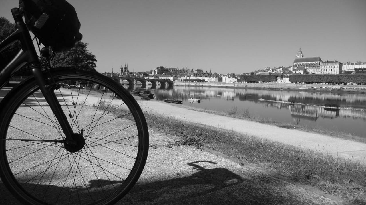 Les Ateliers Du Roi Apartament Blois Zewnętrze zdjęcie